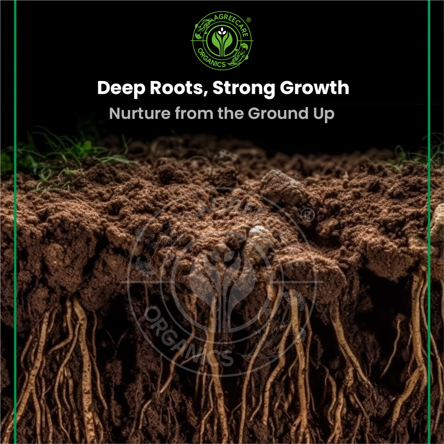 Premium Quality Vermicompost